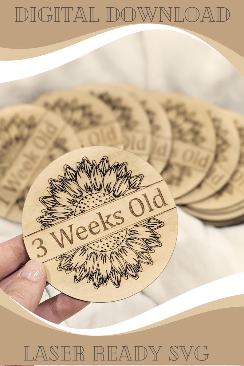 Baby Milestone Numbers SVG - Etsy