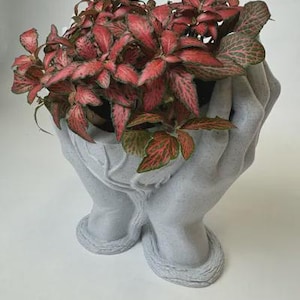 Modern Hand-Shaped Planter: Digital STL File for Succulent Lovers