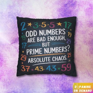 Prime Numbers Humor Pillow Case, Math Pun Gift