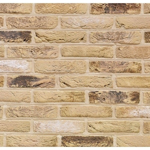 Molds for Wall Decor, Artificial Stones and Tiles for plaster, concrete, gypsum DIY (ABS plastic mold for decorative stone) Ancient brick