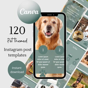 Puede incluir: Una maqueta de pantalla de teléfono que muestra 120 plantillas de publicaciones de Instagram con temática de mascotas. La pantalla del teléfono muestra un perro golden retriever con el texto "120 plantillas de publicaciones de Instagram con temática de mascotas" y "Descarga instantánea" en el lado izquierdo de la pantalla. La pantalla del teléfono también muestra dos cuadros de texto con el texto "Lorem ipsum dolor sit amet. Sit ipsa ipsam ut dolor reamet quae." y "Lorem ipsun dolor sit ame Sit ipsa ipsam dolor reame quae."