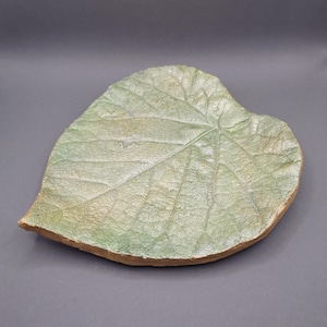 Könnte beinhalten: Eine grüne, blattförmige Keramikschale mit strukturierter Oberfläche. Die Schale ist hellgrün mit einem braunen Rand.
