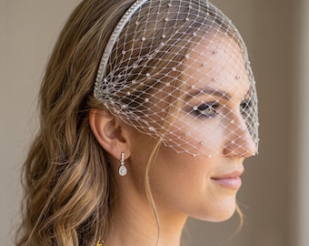 Vintage Birdcage Veil, Crystal Bandeau Veil, Black White Pink Fascinator, Bachelorette Bridal Headpiece