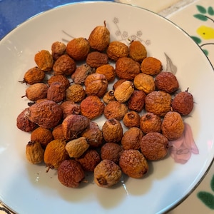 10 Indian Jujube Seeds, fresh harvested this season