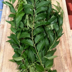 May include: A bundle of fresh, vibrant green curry leaves, arranged on a light brown wooden cutting board. The leaves are glossy and have a distinct, oval shape, with visible veins. The image showcases the natural texture and color of the leaves.