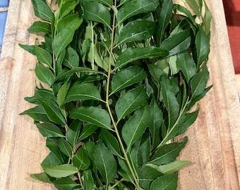 Fresh Curry Leaves: 20 Stems, Home Grown & Organic(about 2 oz)