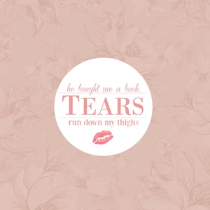 Sabrina Carpenter Sticker, Man&#39;s Best Friend Tears Merch, Gift for Bookish Girl, Short N Sweet Sticker | Pink Kindle Sticker