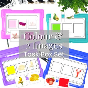 Prompting Hierarchy Color & 2 Images With Errorless Matching Task Cards Kindergarten, Grade 1, Special Education
