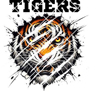 Tigers Class of 2025 PNG | Senior Design Graphics