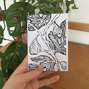 May include: A black and white linocut print depicting a fig tree branch with leaves and fruit. The print is held in a hand, with a wooden surface and green plant in the background. The artwork is a botanical illustration.