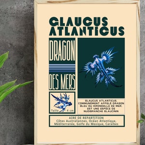 Glaucus atlanticus Poster, Retro-Poster mit blauem Seedrachen, Meeresetymologie-Poster-Geschenk, botanischer Artikel Nudibranch Glaucidae