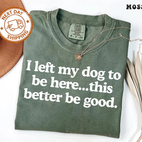 Ich habe meinen Hund verlassen, um hier zu sein, besser, um gut zu sein, lustiges Komfortfarbe-T-Shirt, Mechaniker-Geschenk, Hundemama, Geschenke für Hundeliebhaber, lustiges Hundehemd