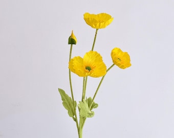 May include: A stem of yellow poppy flowers with green leaves and a bud. The bright yellow petals have a delicate, textured appearance. The flower stems are a light green color, and the background is plain white.
