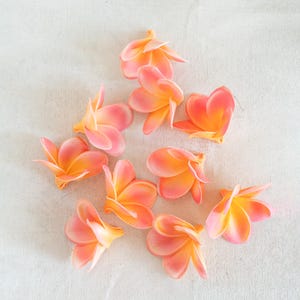 Puede incluir: Vista aérea de nueve flores de frangipán. Las flores tienen un degradado de colores, con pétalos rosas que se funden en un centro amarillo brillante. Las flores están dispersas sobre una superficie blanca.