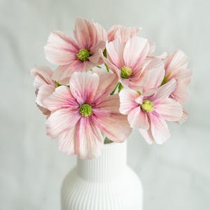 Könnte beinhalten: Ein Strauß rosa Kosmosblumen mit grünen Zentren in einer weißen, gerippten Vase. Die Blumen haben zarte, geschichtete Blütenblätter mit dunkleren rosa Adern. Die Vase ist zylindrisch mit vertikalen Rillen.