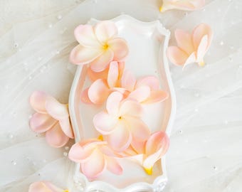 May include: A white, scalloped-edge tray filled with delicate, light pink plumeria flowers. Several loose flowers are scattered around the tray on a white, sheer fabric. The flowers have yellow centers.