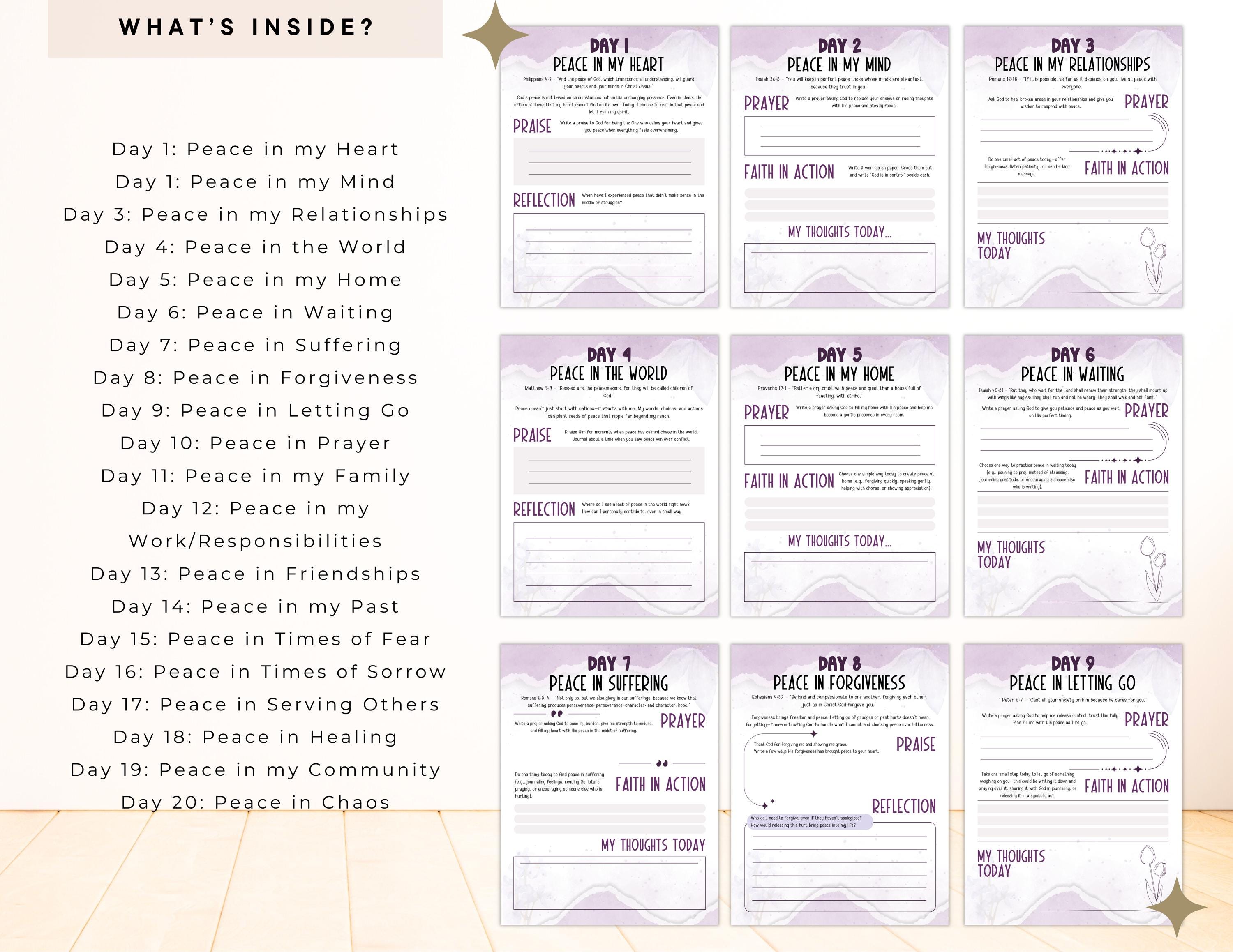 PLR / Resell Peace in Chaos Prayer Journal for Commercial Use ...