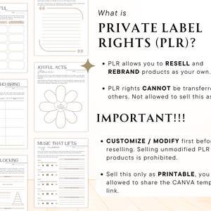 Peut inclure: Une page de planificateur imprimable num&eacute;rique avec des sections pour les activit&eacute;s joyeuses, les personnes qui apportent de la joie et ce qui bloque la joie. Le texte "What is PRIVATE LABEL RIGHTS (PLR)?" est &eacute;galement visible.