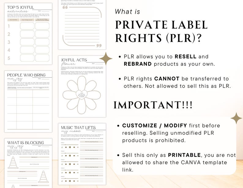 Peut inclure: Une page de planificateur imprimable num&eacute;rique avec des sections pour les activit&eacute;s joyeuses, les personnes qui apportent de la joie et ce qui bloque la joie. Le texte "What is PRIVATE LABEL RIGHTS (PLR)?" est &eacute;galement visible.