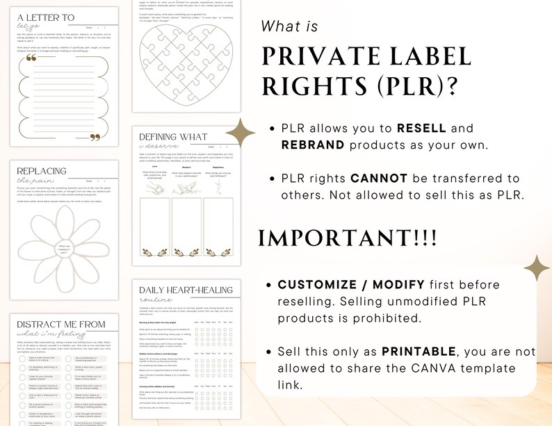 Pu&ograve; includere: Un foglio di lavoro stampabile con il testo "What is Private Label Rights (PLR)?" e punti elenco che spiegano i diritti e le restrizioni sull'utilizzo del prodotto. Il foglio di lavoro &egrave; progettato per l'auto-aiuto e include attivit&agrave; come scrivere una lettera, definire ci&ograve; che ti meriti, sostituire il dolore, distrarti da ci&ograve; che provi e una routine quotidiana di guarigione del cuore.