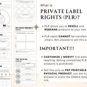 May include: A white and beige graphic with text about Private Label Rights (PLR), including the 80/20 rule, a decision matrix, and the 10-10-10 method. The text explains what PLR is and how to use it.