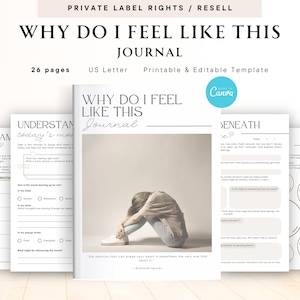 Può includere: Un diario stampabile intitolato "Why Do I Feel Like This Journal" con 26 pagine. Il diario è progettato per aiutare le persone a comprendere le proprie emozioni e i propri sentimenti. La copertina presenta una donna seduta con la testa tra le mani. Il diario è in formato US Letter ed è stampabile e modificabile.