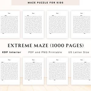 maze puzzle