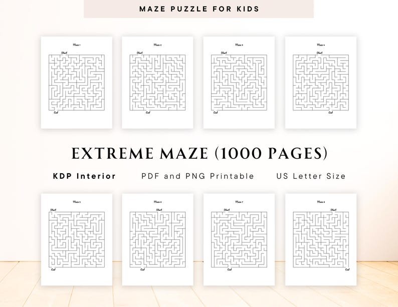 maze puzzle
