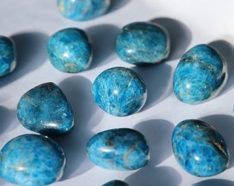 Puede incluir: Una colección de piedras preciosas pulidas y rodadas en varias formas. Las piedras son de un vibrante azul turquesa con sutiles vetas y variaciones de color. Las piedras están dispuestas sobre una superficie blanca, con sombras suaves.