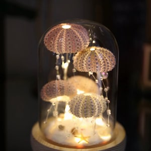 May include: A glass dome with a wooden base containing four sea urchins with lights inside. The sea urchins are pink and white and are arranged in a cluster. The lights are strung with white beads and create a warm glow.