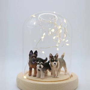 Glass Dome With LED Light And Wood Base For Miniatures Succulents Flowers Crafts Collectibles Table Centerpiece Home Decor Display