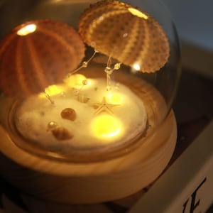 DIY Sea Urchin Night Light Kit Ocean Theme Decor Glass Dome Cute Night Light Gift For Her Glass Lamp Birthday Surprise DIY Craft Gift