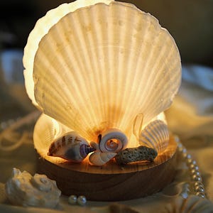 May include: A seashell lamp with a large, open scallop shell as the lampshade, emitting a warm, inviting glow. The lamp features a wooden base and is adorned with various seashells and small pearls, creating a coastal theme.