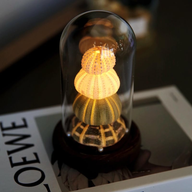 Sea Urchin Light Etsy sea-urchin-light-etsy