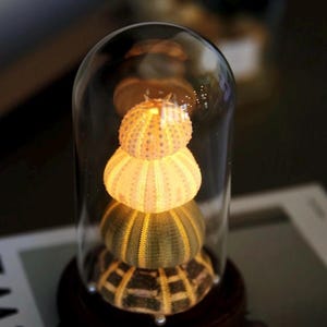 DIY Kit Sea Urchin Lamp LED Night Light Sea Shell Night Light Jellyfish Lamp Holiday Decor lighting DIY Lamp for Her Birthday Table Lamp
