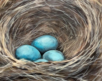 Fine Art Print - Robin Nest and Eggs - 8"x10" on Deep Matte Paper