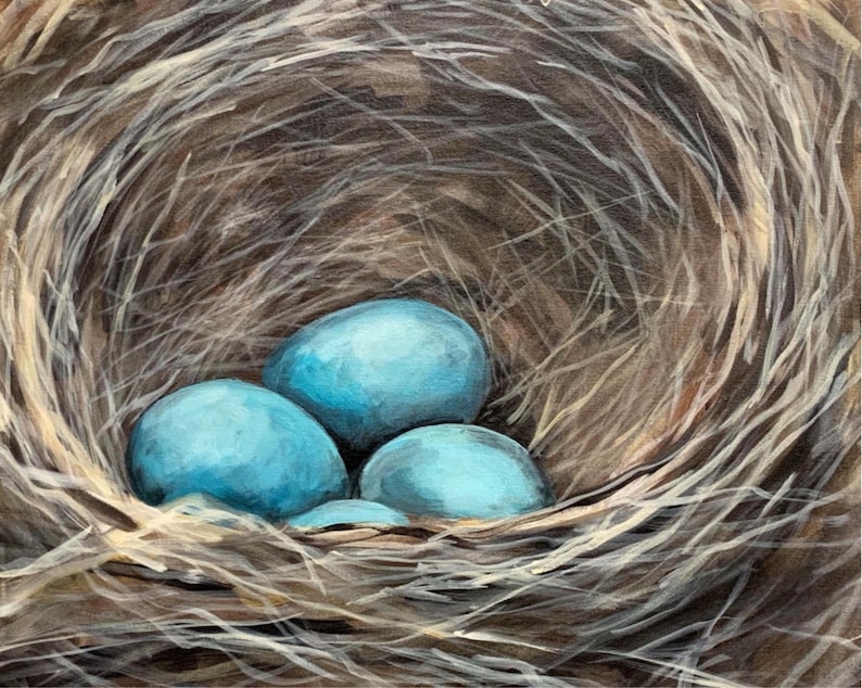 Fine Art Print Robin Nest and Eggs 8x10 on Deep Matte Paper image 1