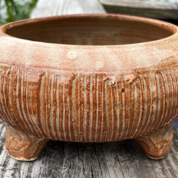 Large Bonsai Pot Etsy