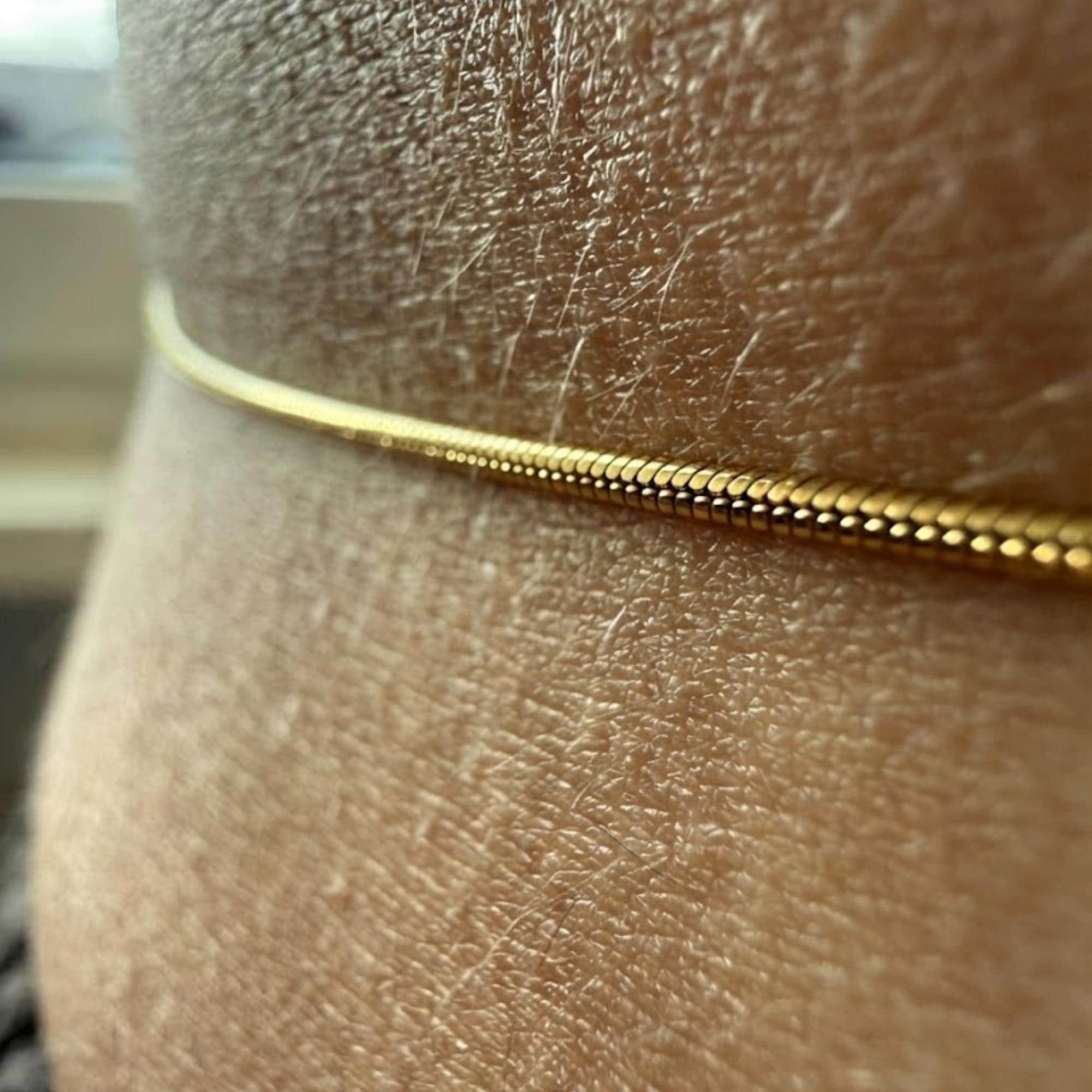 Gold-tone stainless steel zodiac belly chain with snake charm, adjustable waist chain for body jewelry