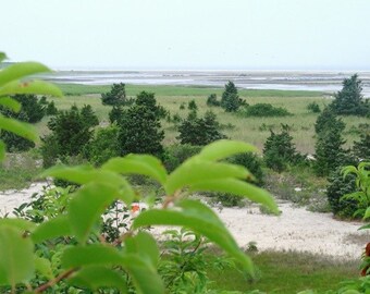 Brewster Flats