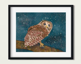 Starry Spotter - Northern Spotted Owl - Fine Art Print