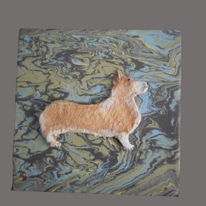 The Corgi