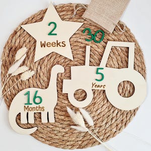 Cartes ou disques en bois personnalisés pour bébé garçon, cadeau de baby shower, nouveau cadeau de bébé garçon, accessoire photo de nouveau-né, cadeau de tracteur et de dinosaure