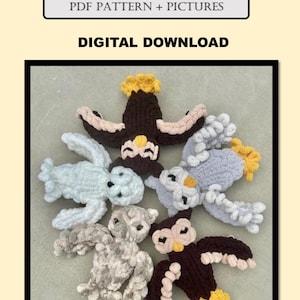 May include: Five crocheted owl plushies in different colors, including brown, gray, white, and light blue. The owls are arranged in a circle on a light brown surface.