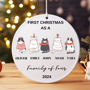 Named Cat Ornament, Personalized Pet First Christmas Ornament, 5 Cat Family Ornaments, Christmas 2024 Ornament, Custom Meowy, Meow Catmas
