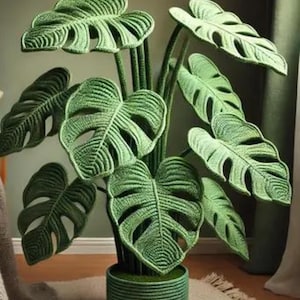 May include: A green crocheted plant with large leaves in a green crocheted pot. The plant is a realistic representation of a Monstera Deliciosa.