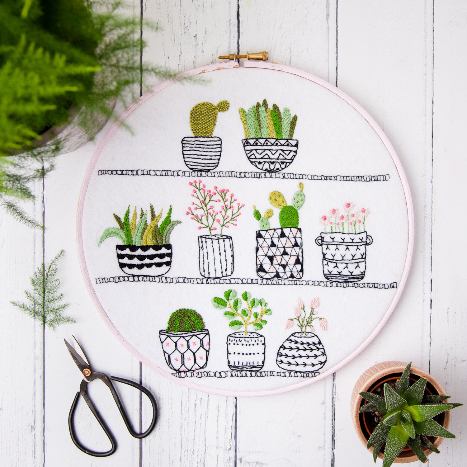 Beginner Embroidery Kits for Adults Flowers and Succulents 