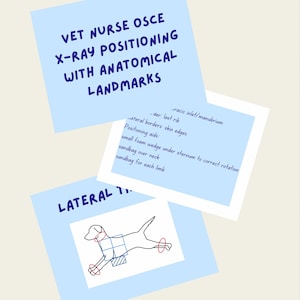 May include: Diagram showing the correct positioning for a lateral x-ray of a dog. The diagram shows the dog lying on its side with its legs extended. The text on the diagram includes instructions for positioning aids, such as sandbags and foam wedges, to ensure proper alignment.