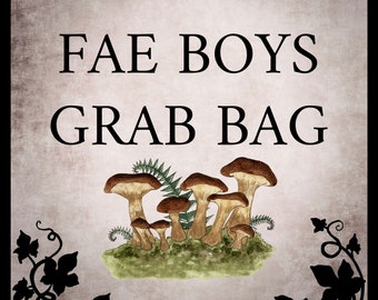8x10 PRINT GRAB BAG fairy boys by Amy Brown