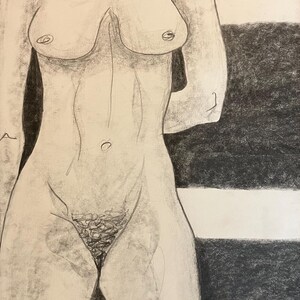 Original Graphite Drawing